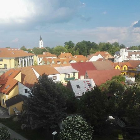 Apartmán-Třeboň-centrum Esterno foto
